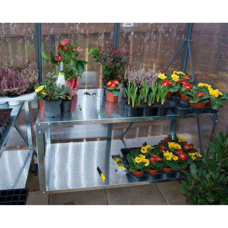 Glory Gray/Diffused DIY Greenhouse Kit