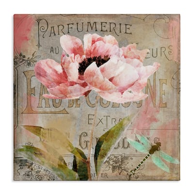 Stupell French Vintage Blossom Canvas Wall Art Design By Sasha