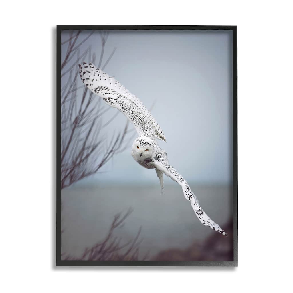 Stupell Majestic Snowy Owl Flying Wingspan Wildlife Photography Framed Wall Art, Design by Carrie Ann Grippo-Pike