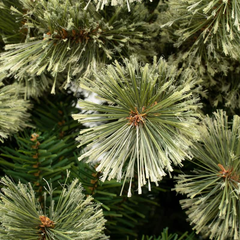 National Tree Company 6 ft. Artificial Arcadia Pine Slim Christmas Hinged Tree - 6 Foot