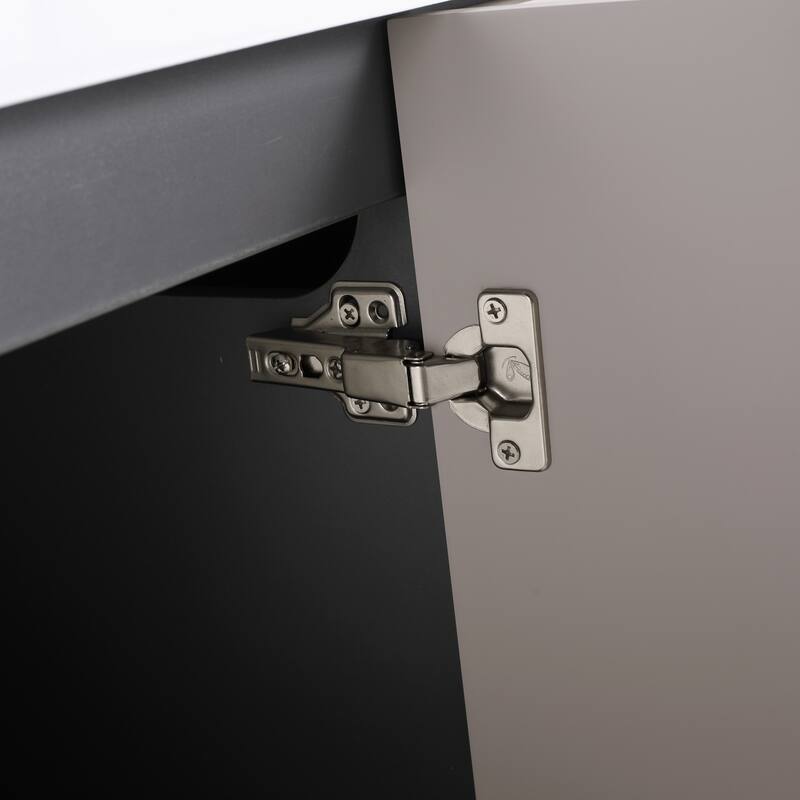Modern 48 Inch Freestanding Bathroom Vanity Base without Sink, Storage Cabinet with Soft-Close Doors and Adjustable Shelves
