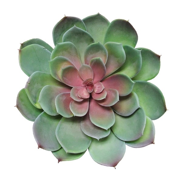 slide 2 of 3, Large Green Red Artificial Lotus Succulent Stem Plant Greenery Pick Spray Branch 8.5in - 6.5" H x 8.5" D