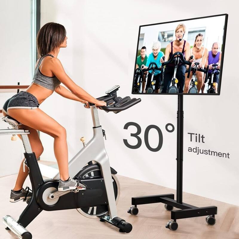 Mobile TV Cart
