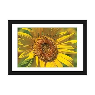 iCanvas "Golden Sunflower" by Brian Wolf PFA - Bed Bath & Beyond - 37267994