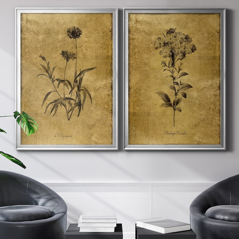 Gold Sketch Botanical I Premium Framed Print - Ready to Hang - Multi-Color