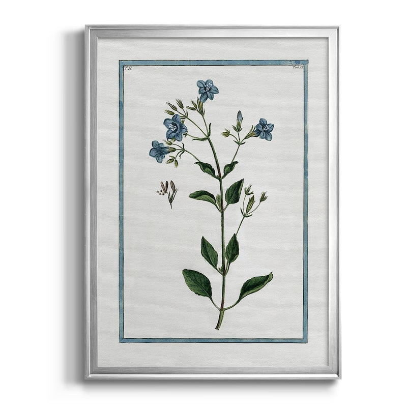 Shabby Chic Botanical II Premium Framed Print - Ready to Hang