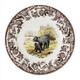 Option Black Bear