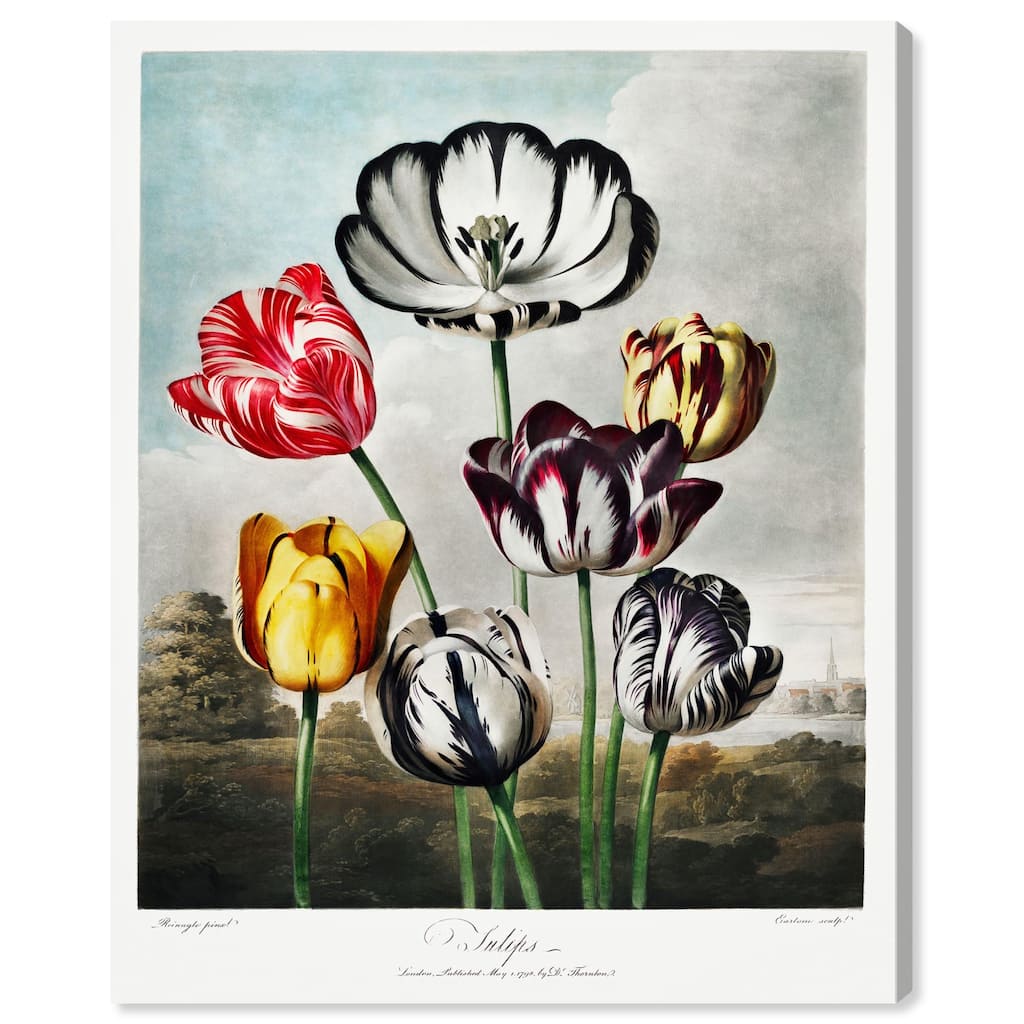 Tulips 1807 Canvas by Art Remedy, Gallery Wrapped