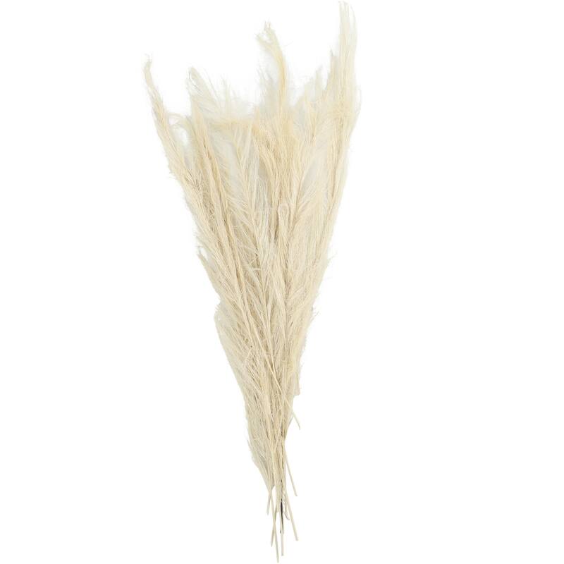 Dried Plant Feather Like Leaves Floral Bouquet Home Decor Natural Foliage with Stems - White, Brown, Green - Roche River Decor