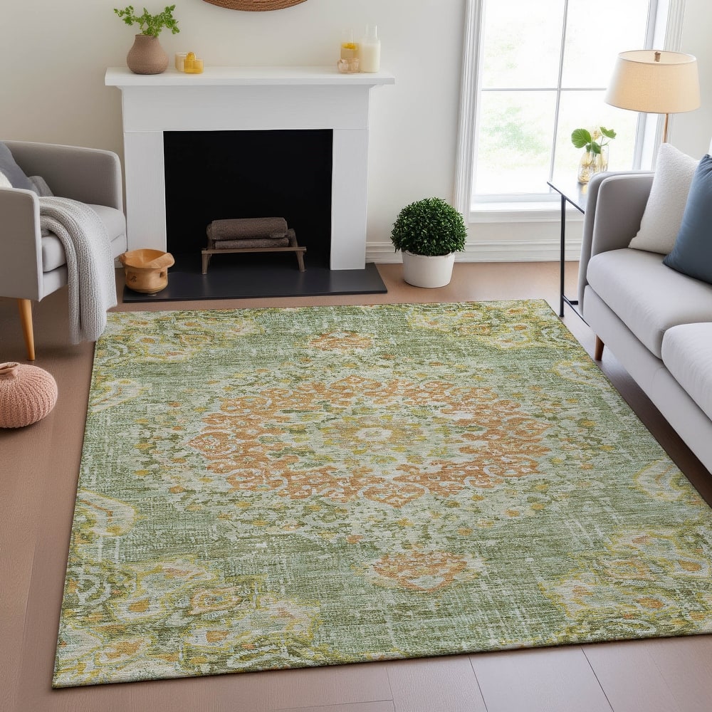 Premium Washable Super Soft Vintage Traditional Mayfield Rug