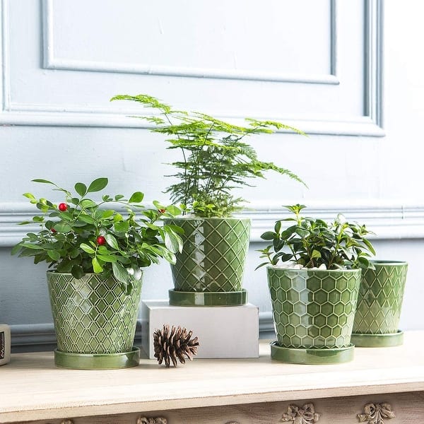 Flower Planter undefined5 inch Ceramic Plant Pots with Drainage Hole and  Ceramic Tray - Gardening Home Decoration - 8' x 10' - Bed Bath & Beyond -  34234878