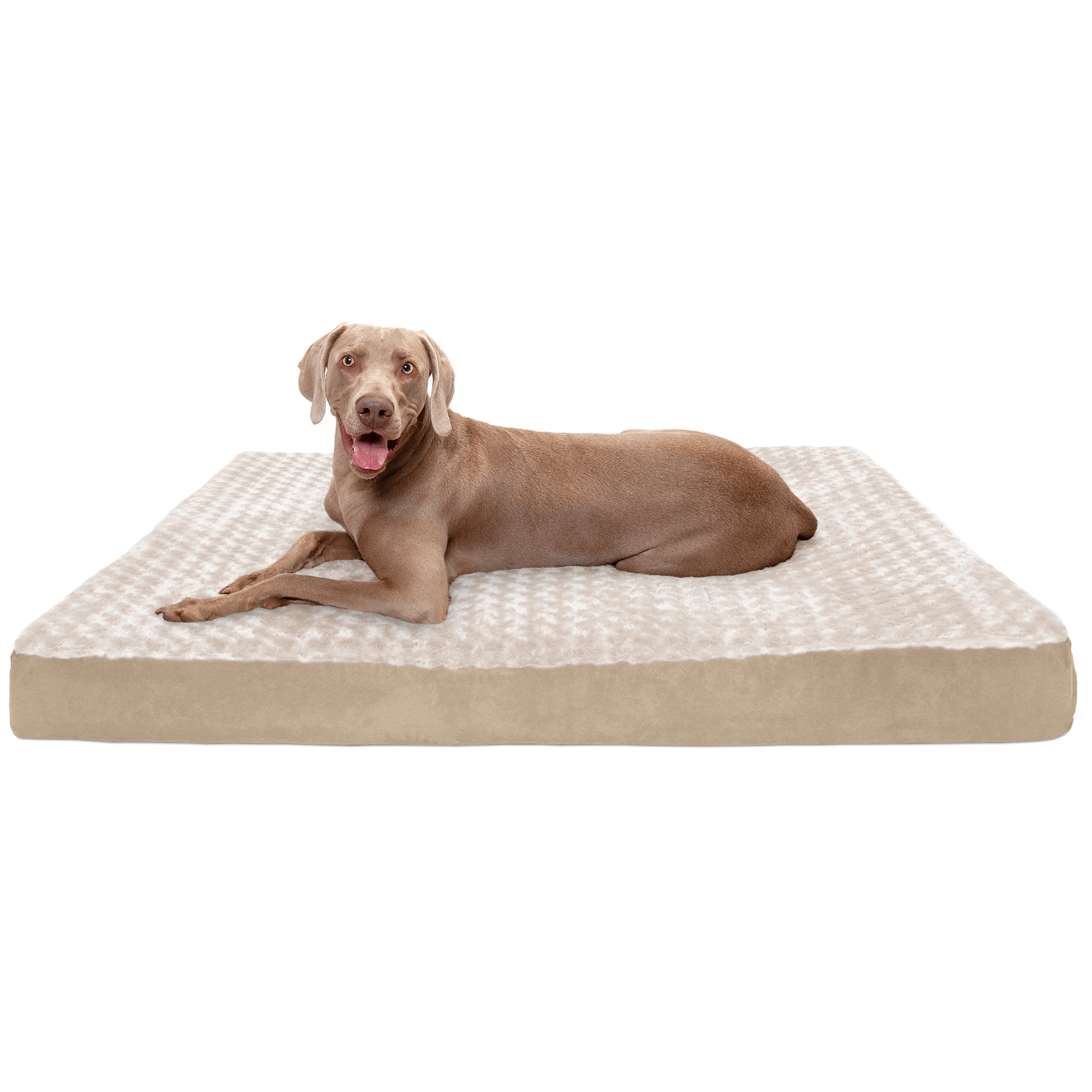 cooling orthopedic dog bed