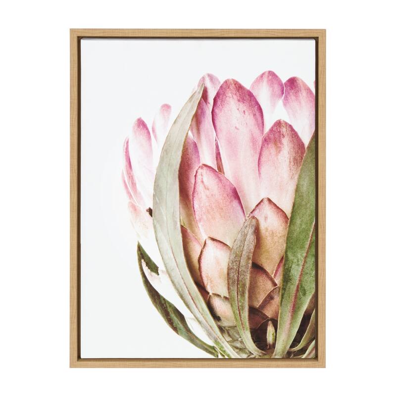 Kate and Laurel Sylvie Pink Protea Flower Framed Canvas Wall Art