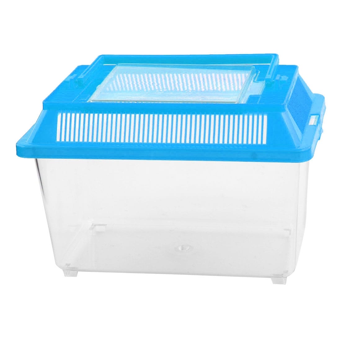 54+ Aquarium Design For Betta Fish Gratis Terbaru