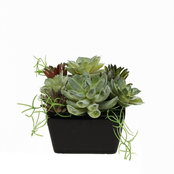4.5" Potted Artificial Mixed Succulent Arrangement - N/A