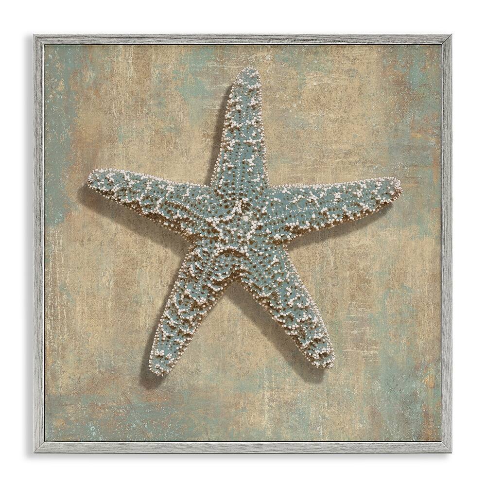Stupell Starfish Beach Objects Design,12 x 12, Framed Wall Art