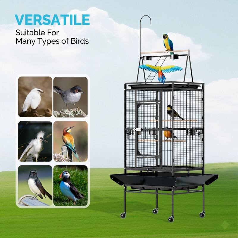 68in Wrought Iron Bird Cage with Playtop, Large Flight Cage with 5 Feeders & Ladder & Rolling Stand, for Small/Medium Birds