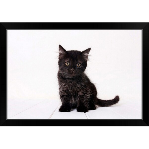 "Black kitten." Black Framed Print