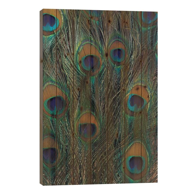 Peacock Feathers In Zoom Print On Wood by Darrell Gulin - Multi-Color - 26x18x1.5