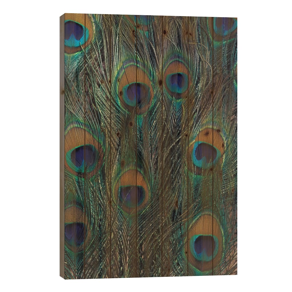 Peacock Feathers In Zoom Print On Wood by Darrell Gulin - Multi-Color