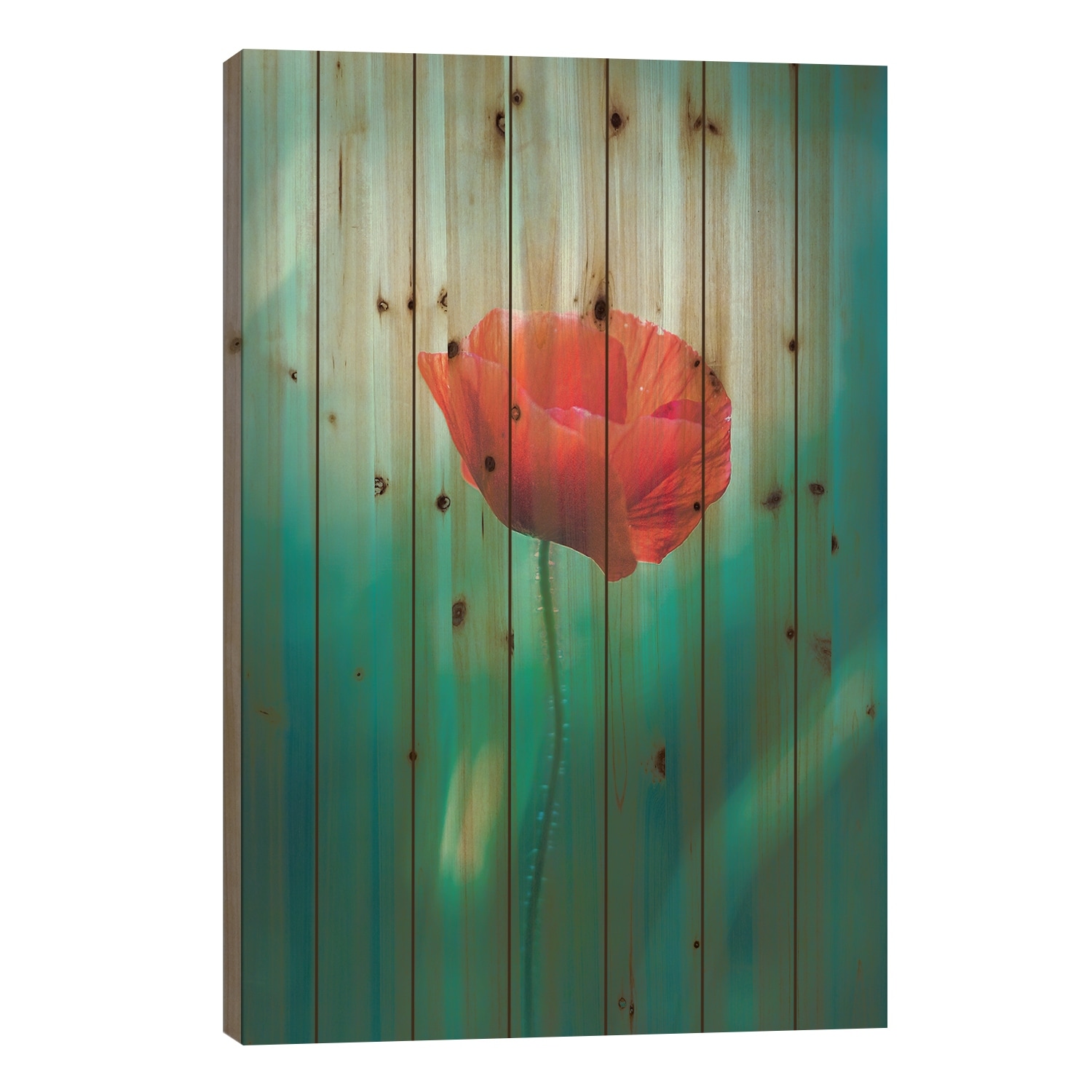 Lonely Poppy Print On Wood by Jeferson Castellari - Multi-Color