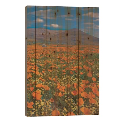 California Poppy, Superbloom, Antelope Valley, California Print On Wood by Tim Fitzharris - Multi-Color