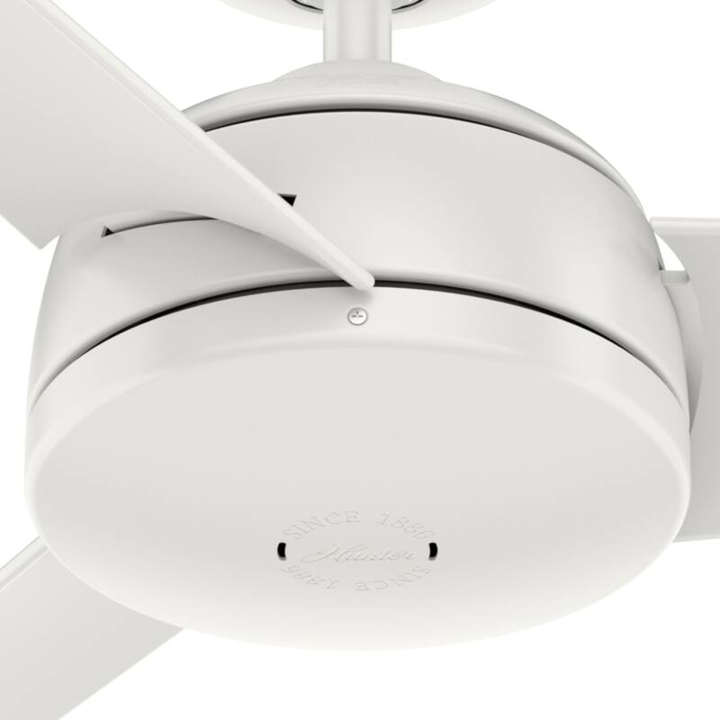 Hunter 52" Trimaran WeatherMax Outdoor Ceiling Fan with Wall Control, Wet-Rated!