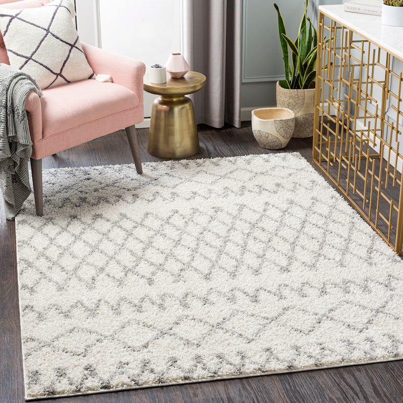 Graydon Moroccan Plush Area Rug