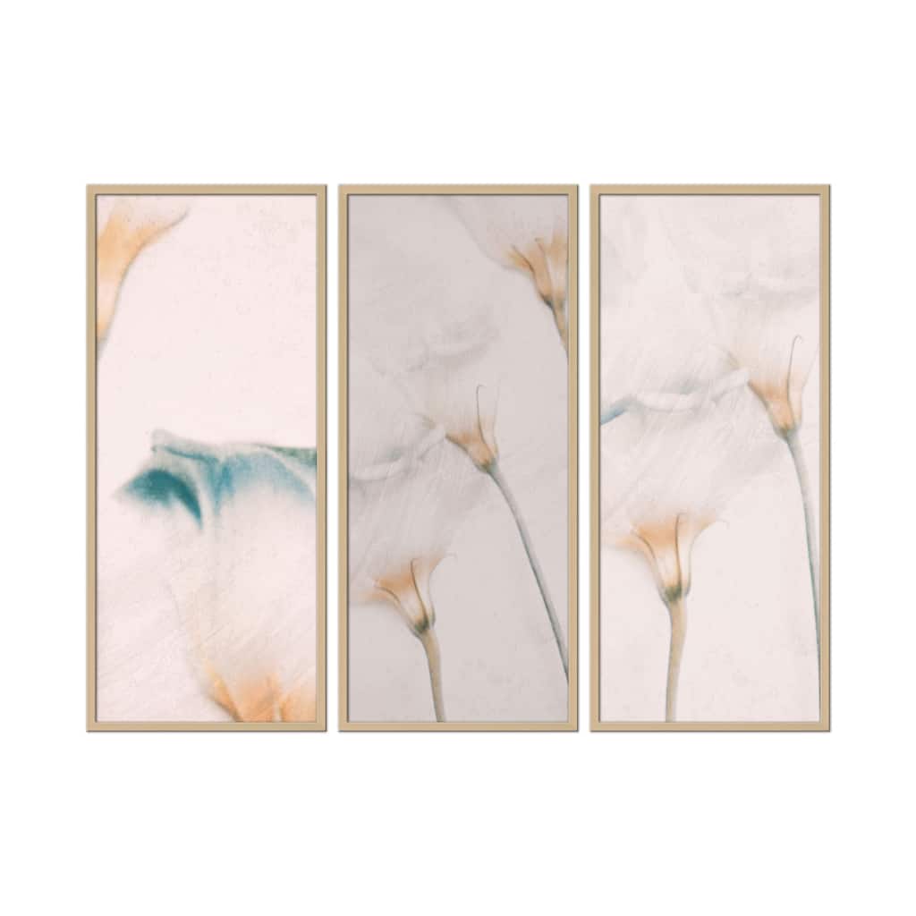 "Elegance" Framed 3-Piece Wall Art Set by Delphine Devos