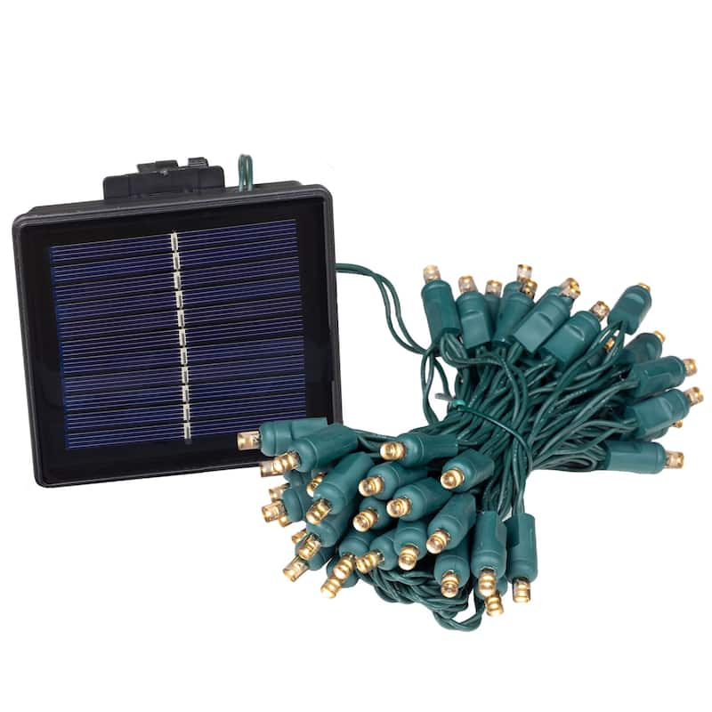 Novelty Lights 50 Light Solar LED Outdoor Christmas Mini Light Set, 12 Feet