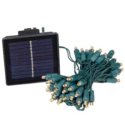 Novelty Lights 50 Light Solar LED Outdoor Christmas Mini Light Set, 12 Feet
