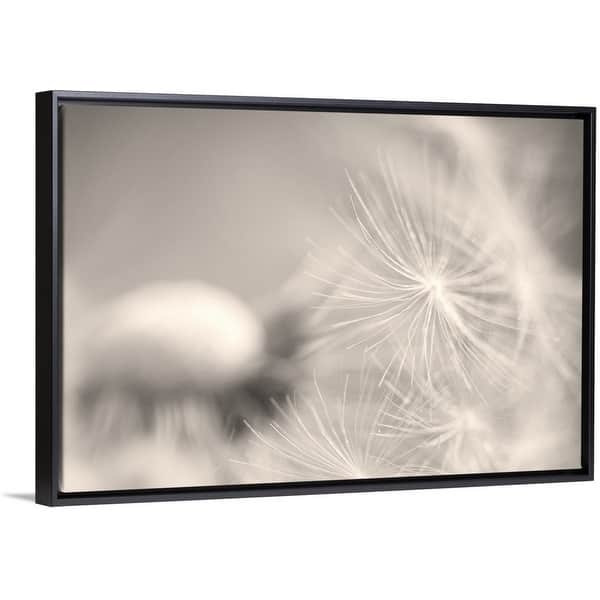 Shop White Dandelion Flower Black Float Frame Canvas Art On