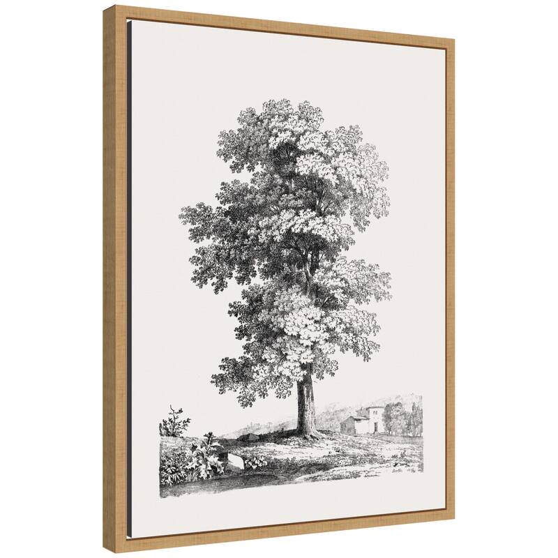 Kate and Laurel Sylvie Jean Victor Bertin Study of a Tree 1816 Framed Canvas by The Art Institute of Chicago - Natural