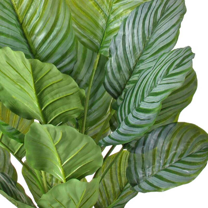 34" Potted PU Calathea Plant