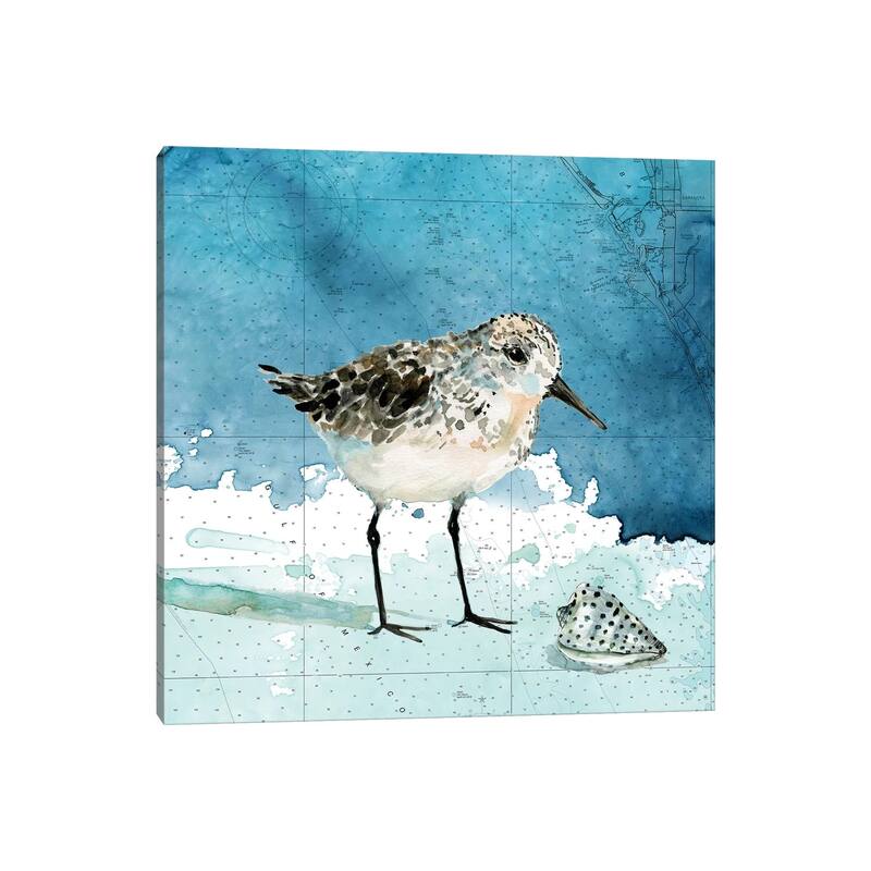 iCanvas "Bay Shore Sandpiper I" by Carol Robinson Canvas Print