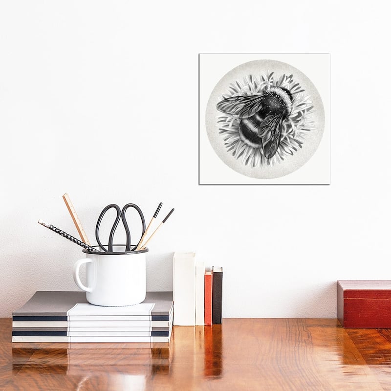 iCanvas "Bee On Cornflower In Pencil" by Vicki Hunt Canvas Print - 12x12x0.75
