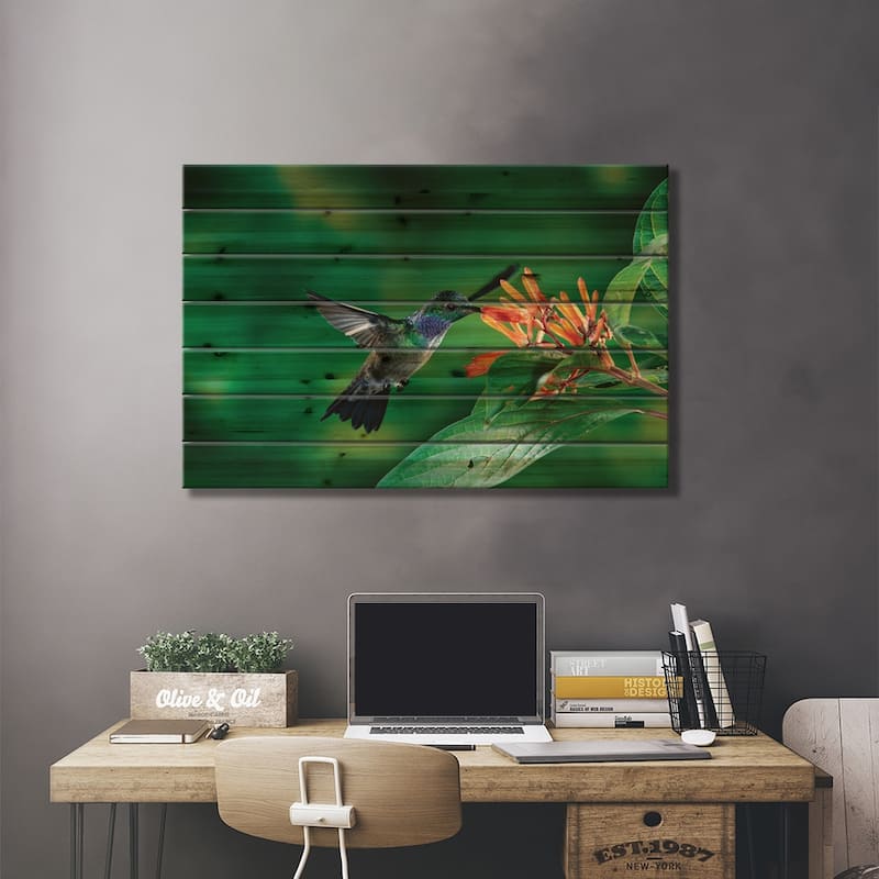 Blue-Chested Hummingbird Male Feeding At And Pollinating Flowers, Costa Rica Print On Wood by Michael & Patricia Fogden