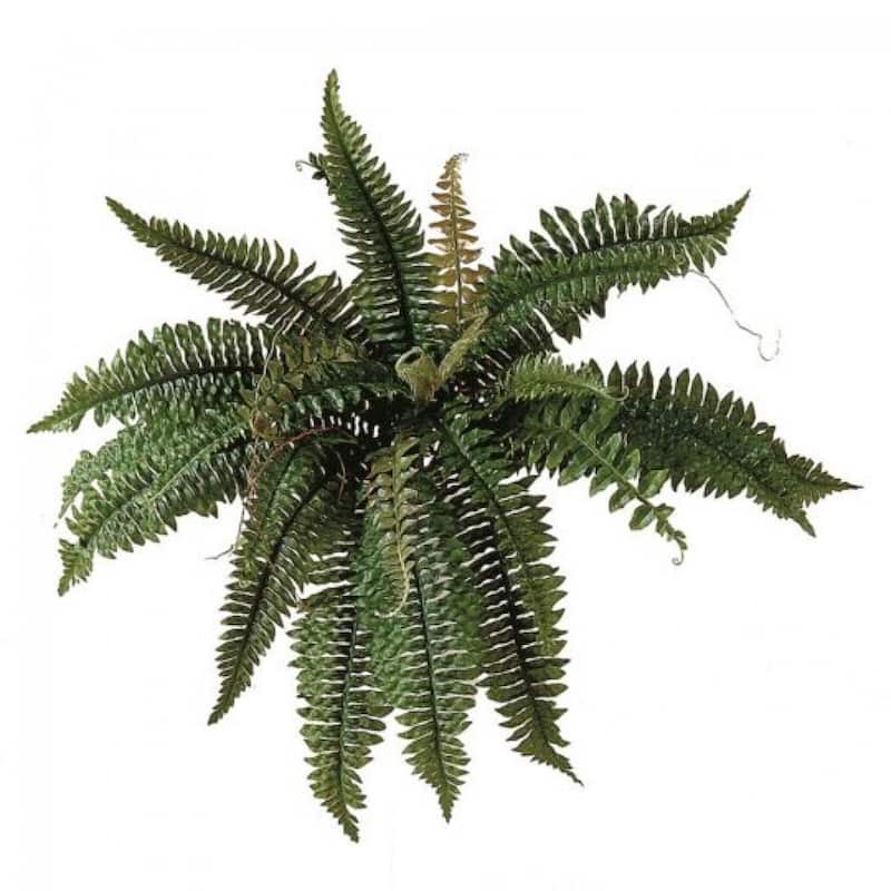 Green Estate Boston Fern Bush Faux Plants And Trees
