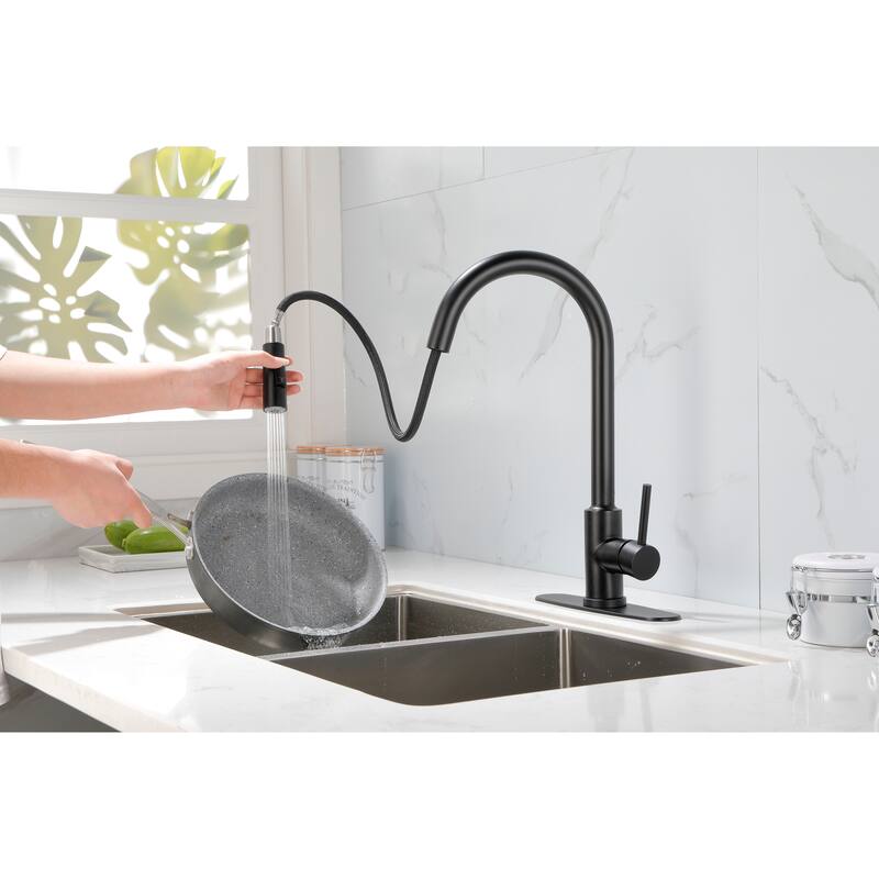 Stainless Steel Kitchen Faucet with Pull Down Sprayer