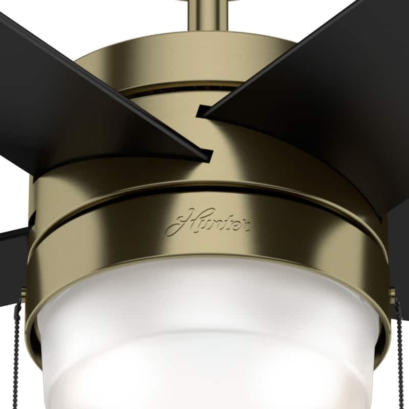 Hunter 52" Claudette Ceiling Fan with LED Light Kit and Pull Chain