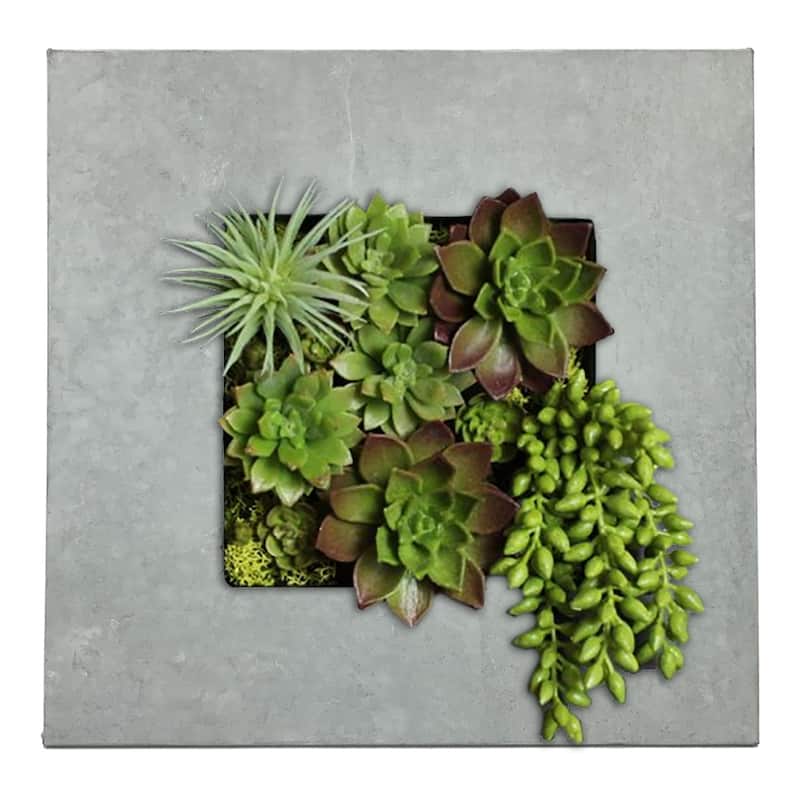Carson Carrington Tasback Galvanized Steel/ Zinc Succulent Planter - Small (4 squares) - Aged Zinc