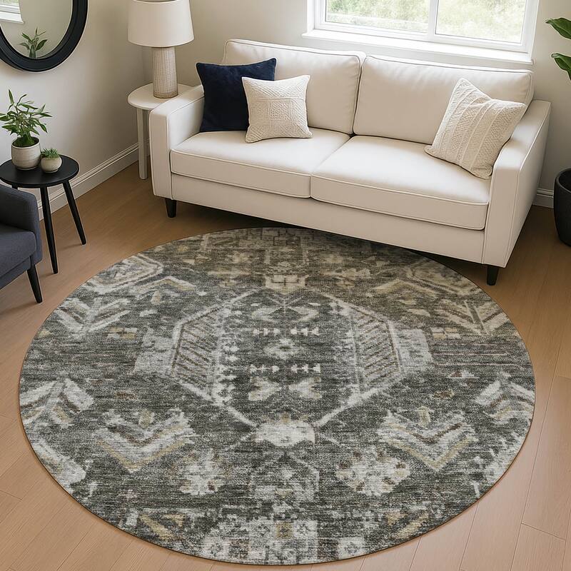 Machine Washable Indoor/ Outdoor Boho Traditional Chantille Rug