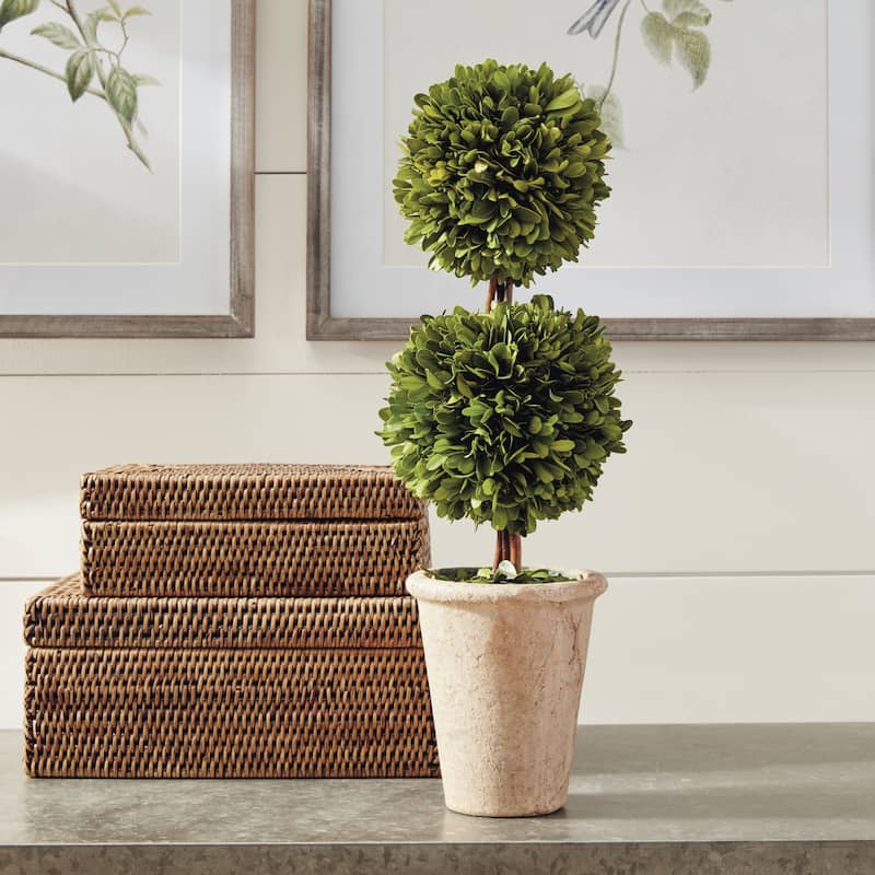 Boxwood Double Sphere Topiary 20"