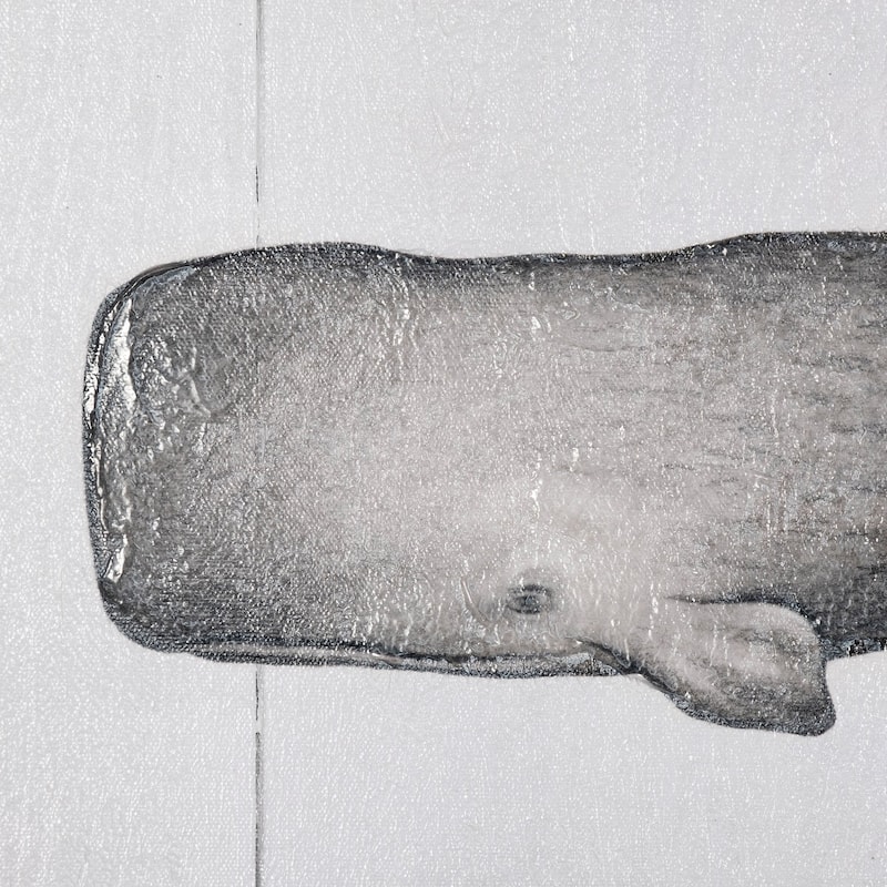 Sperm Whale (40 x 30) Canvas Art Print