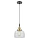 Option Clear Shade / Black Antique Brass