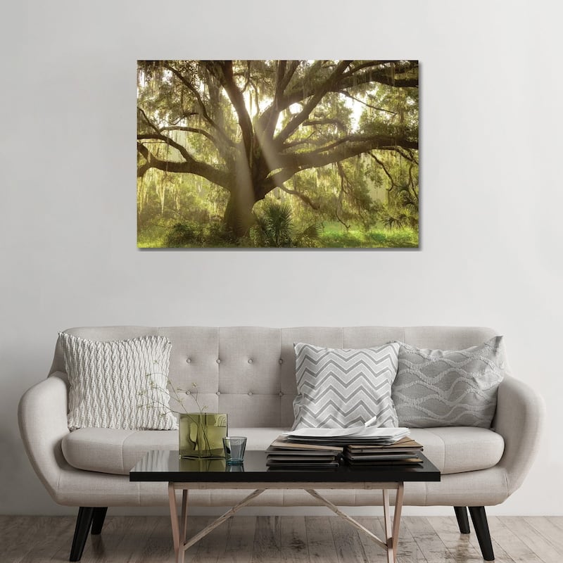 iCanvas "Beautiful Southern Live Oak tree, Flordia" by Maresa Pryor Canvas Print - 32x48x1.5