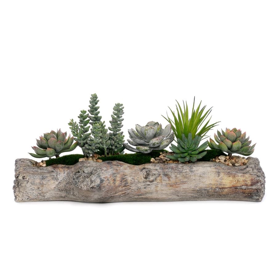 Succulents & Pebbles, Moss Flower Arrangement in Cement Window Log - Green