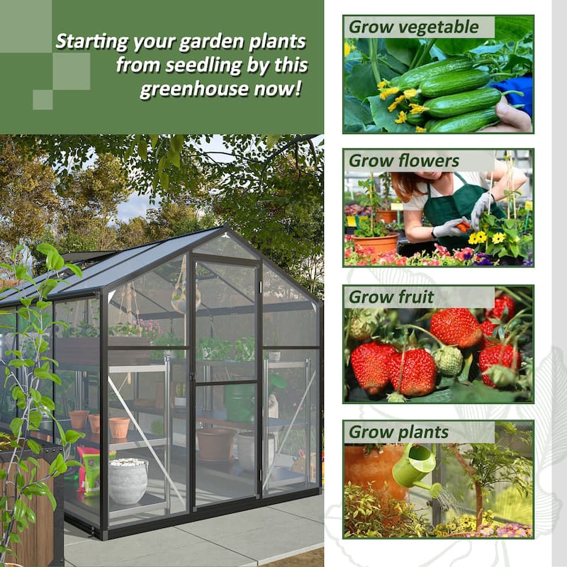 GDFStudio - Amelia Large Walk-In Outdoor Greenhouse with Secure Structure and Ventilation Design