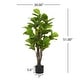 preview thumbnail 6 of 7, Christopher Knight Home - Elegant 51" Artificial Fiddle Leaf Fig Tree with Pot, Perfect for Home Interiors - Wood