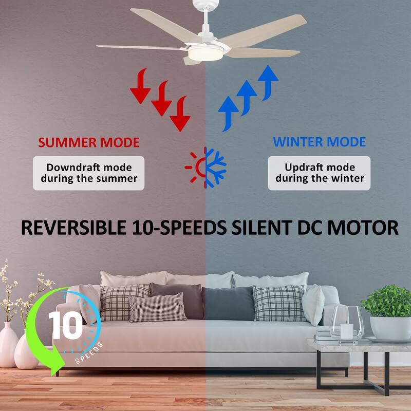 CARRO Boreas 52" Smart Ceiling Fan with Light and Remote-Downrod